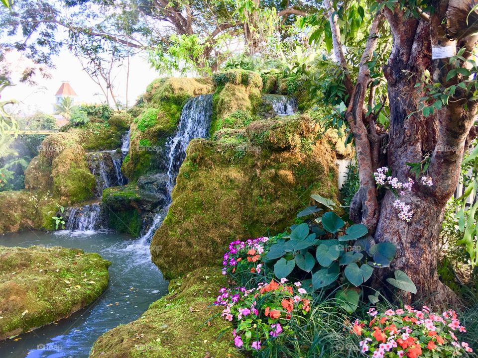 Waterfall and garden