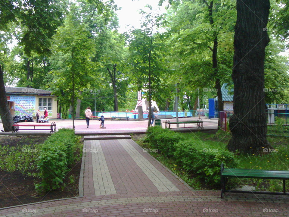 Scenic view of people in park