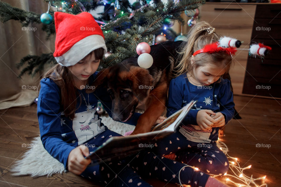 Little sisters with German shepherd puppy near Christmas tree 