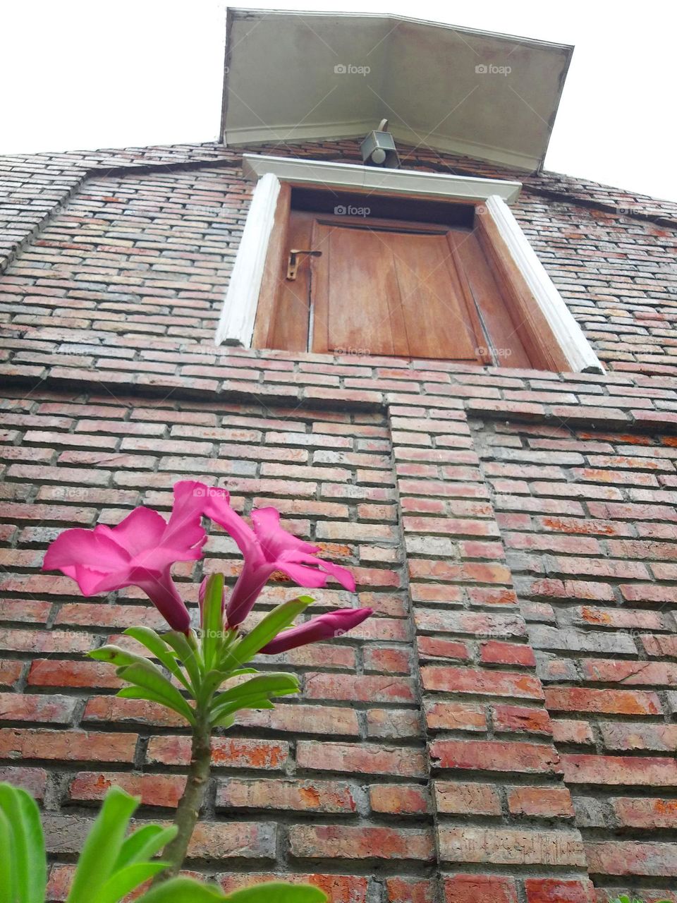 flower at brick house