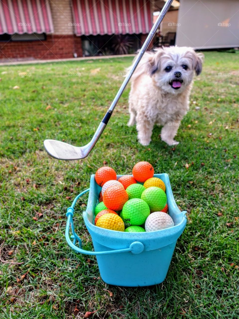 Ready to chase a ball!