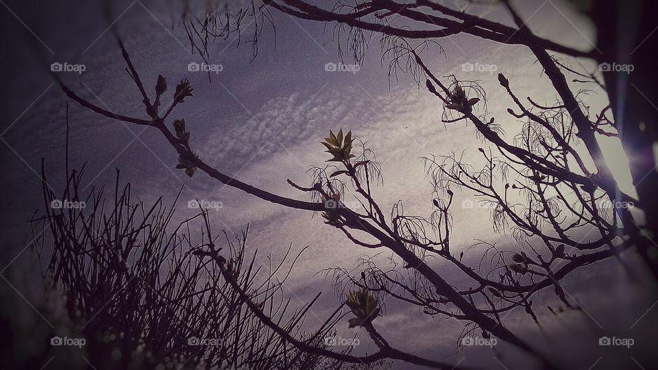 waiting for the sunset