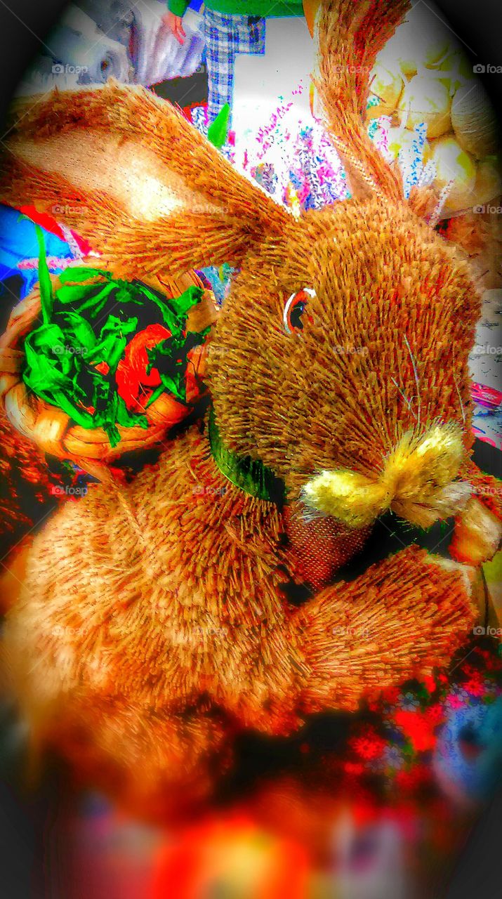 easter bunny. caught this bunny before he hopped it