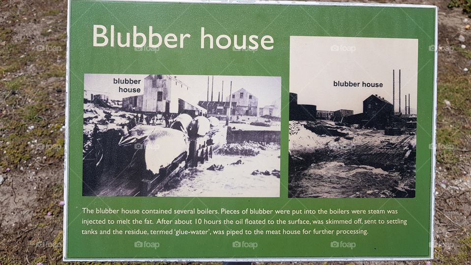 Whale Blubber House