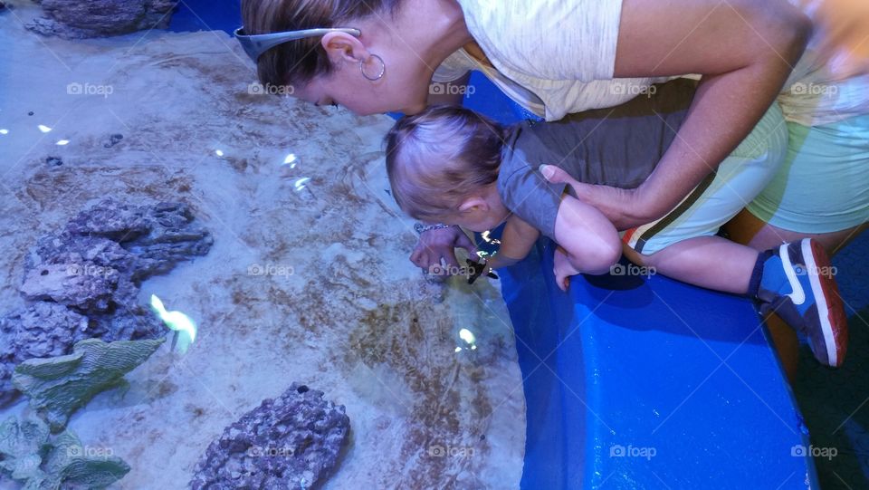 Touching a starfish