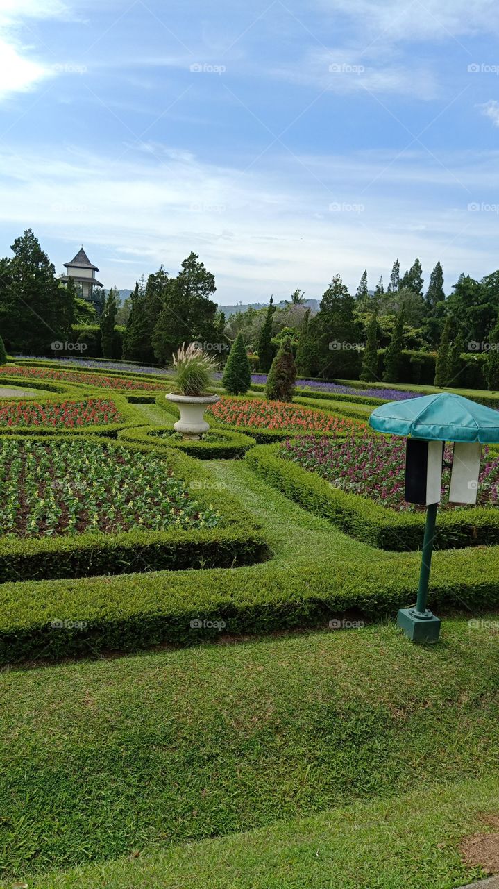 perfect landscape at the park