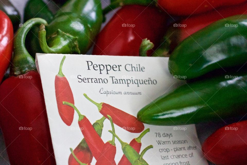 Red and green Serrano chile peppers and their seed packet 