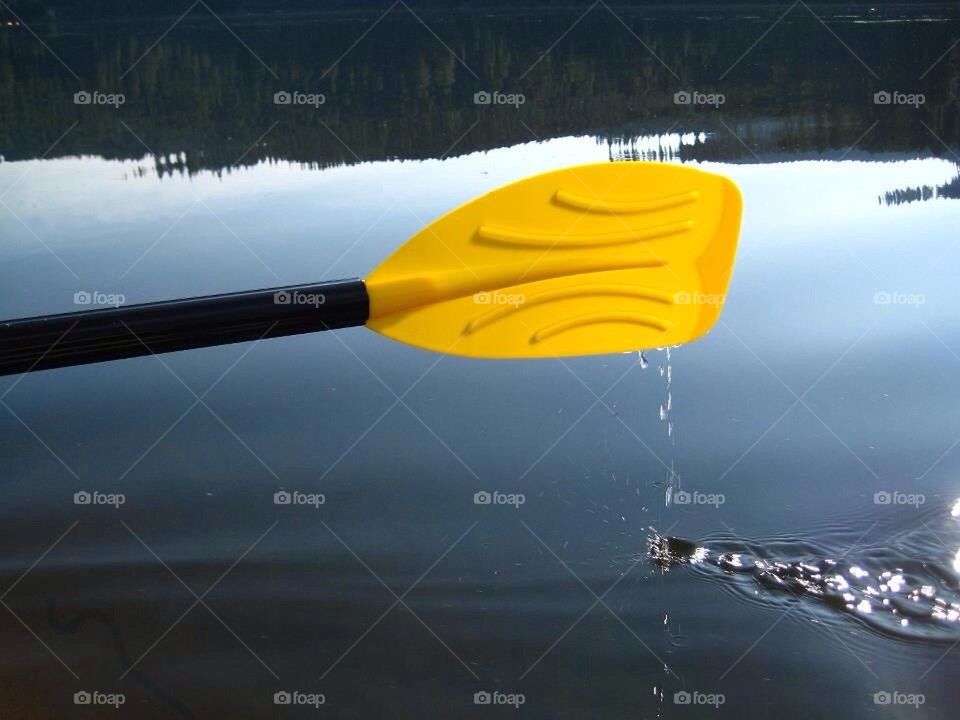 Paddle