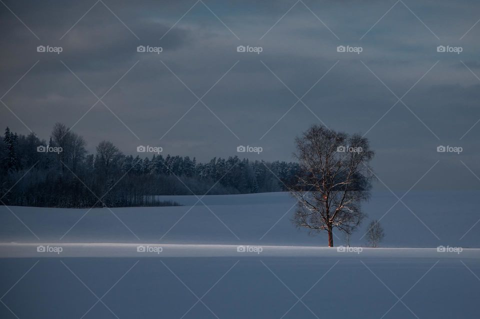 A ray of sunlight on a snowy field on a winter day