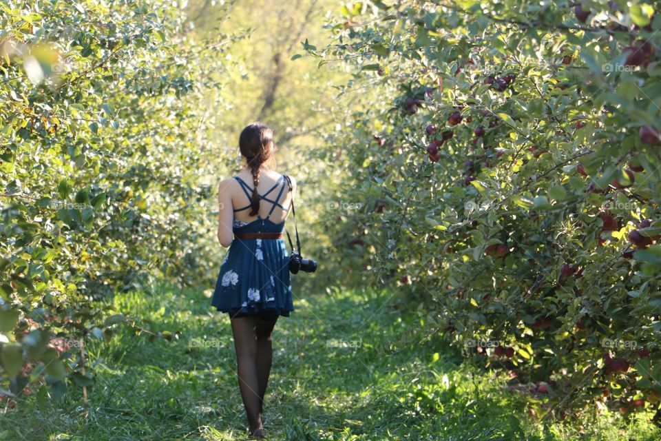 Lost in the orchard. Adventures through the Apple orchard
