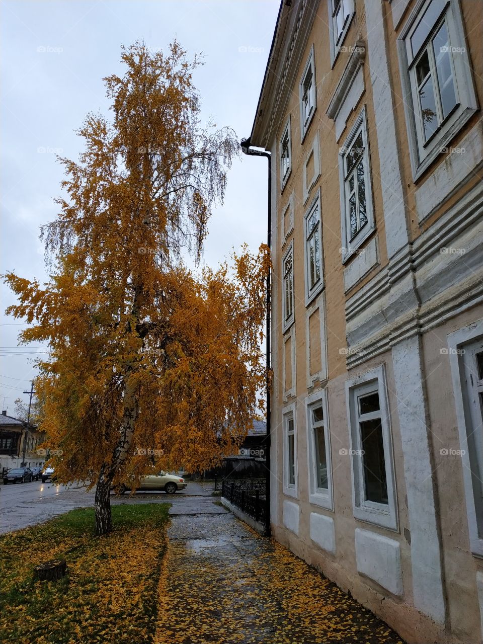 Autumn in Siberia. Yeniseisk.Russia. Autumn walk.
