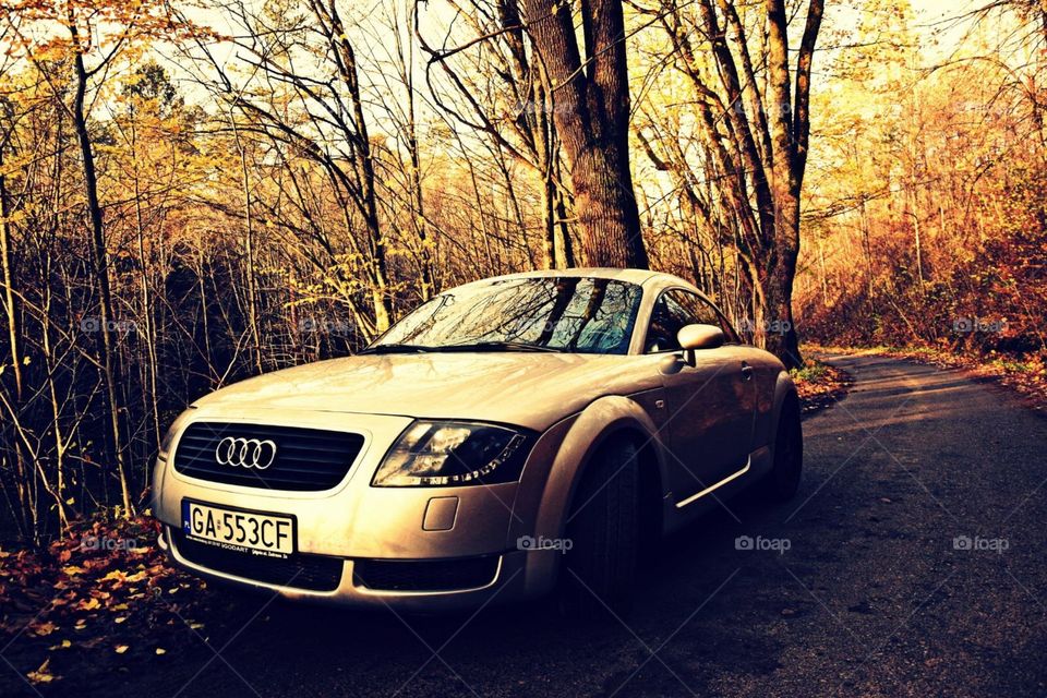 Audi on the road