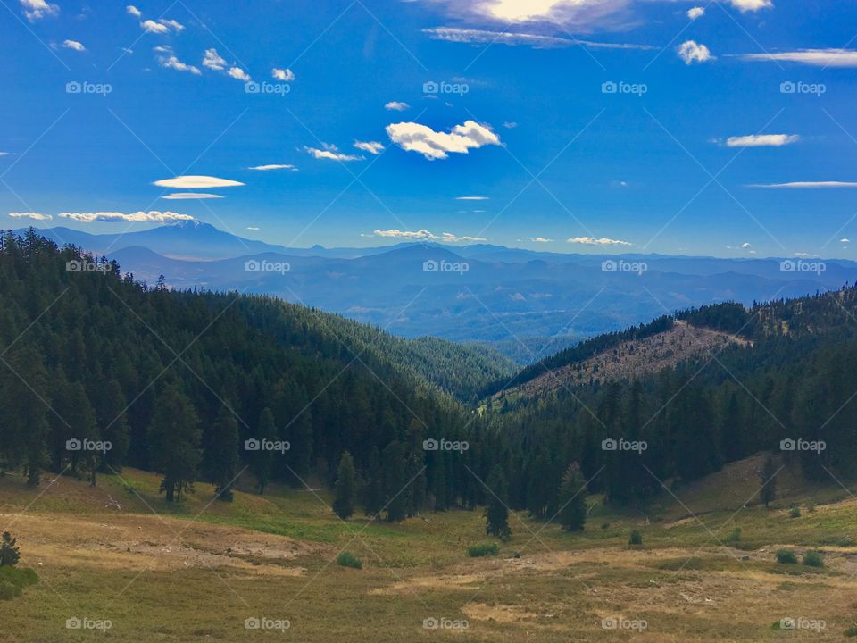 Endless Opportunities 