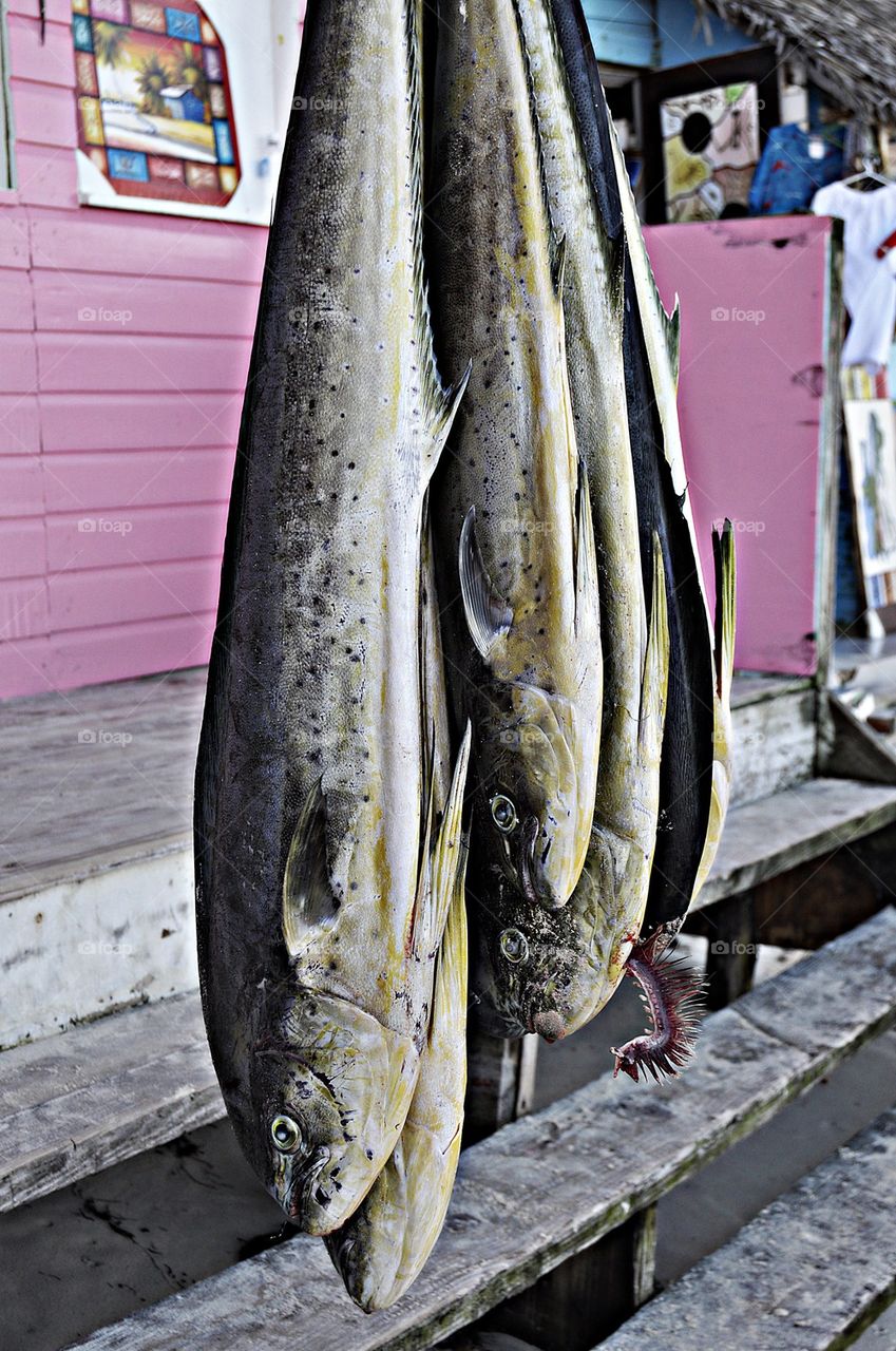 At the fisherman's house in the Caribbean  