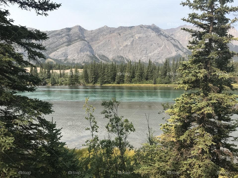 Mountain and trees