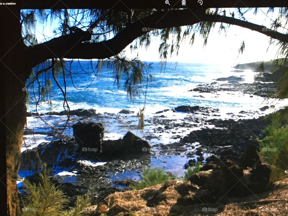 A little rustic scene overlooking the Pacific Ocean on Kauai, Hawaii.