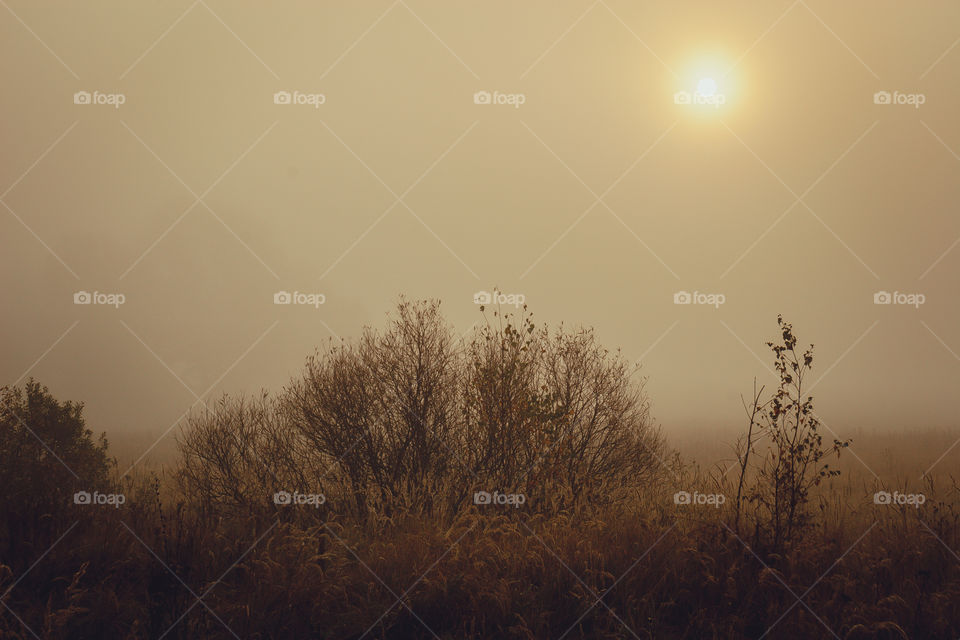 Autumn misty landscape at early morning 