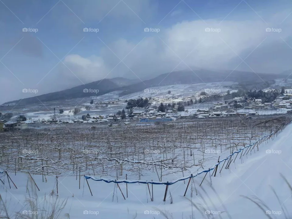 Snow Valley