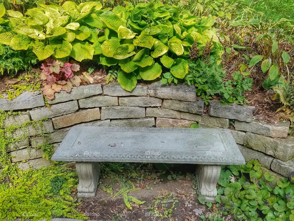 Garden, Flora, Leaf, Nature, Desktop