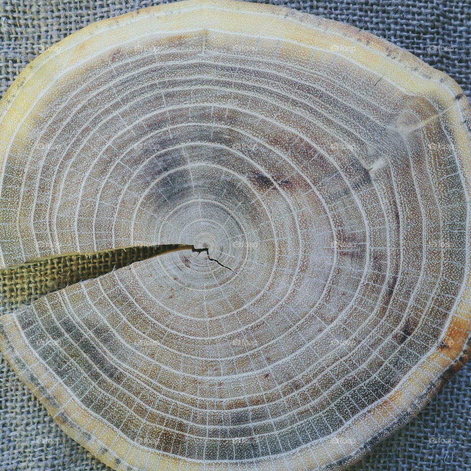 wood dice texture, wood cut