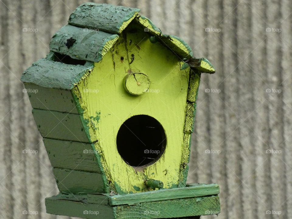 Bird house