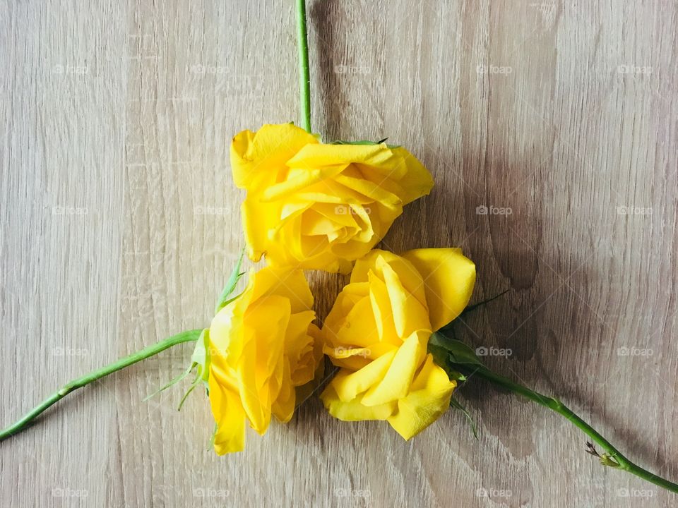 Yellow roses