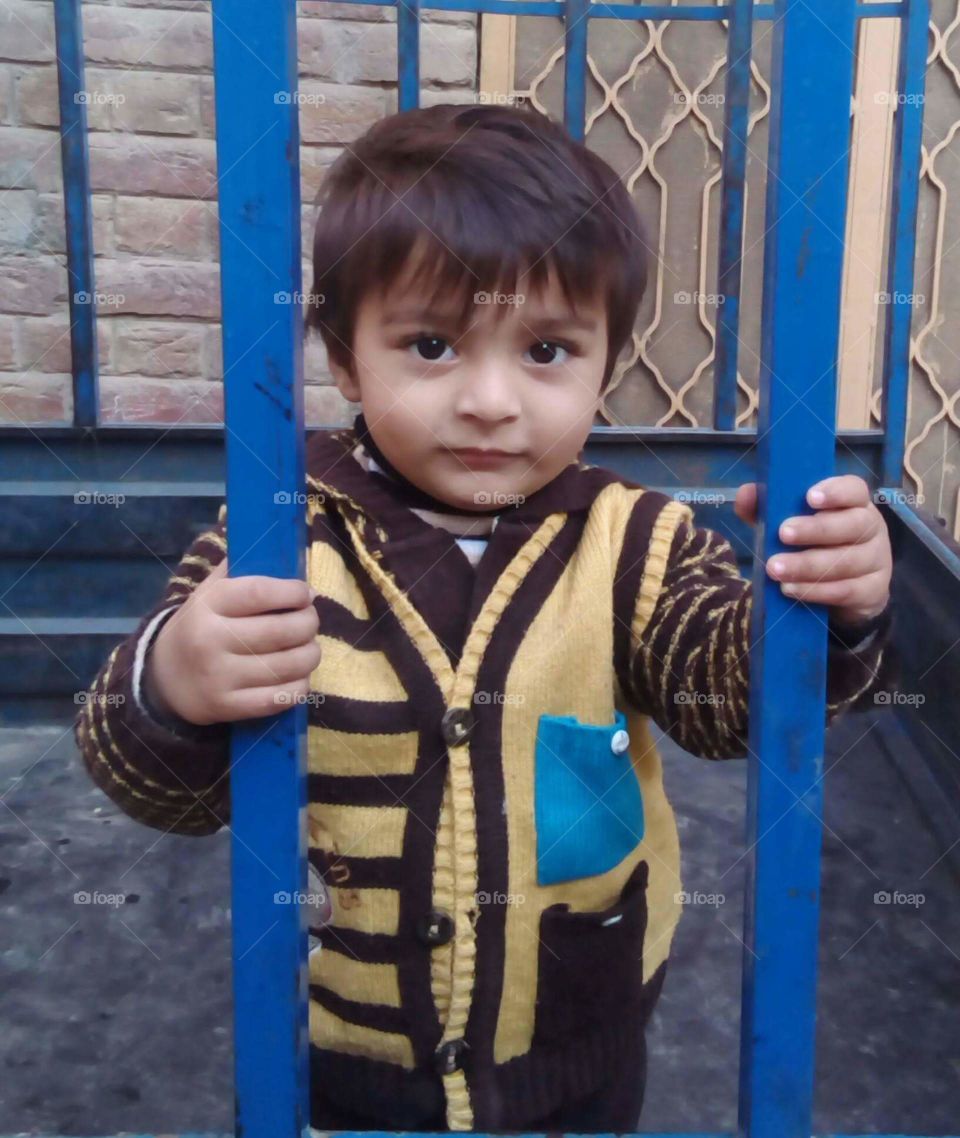 feel freedom Pakistan