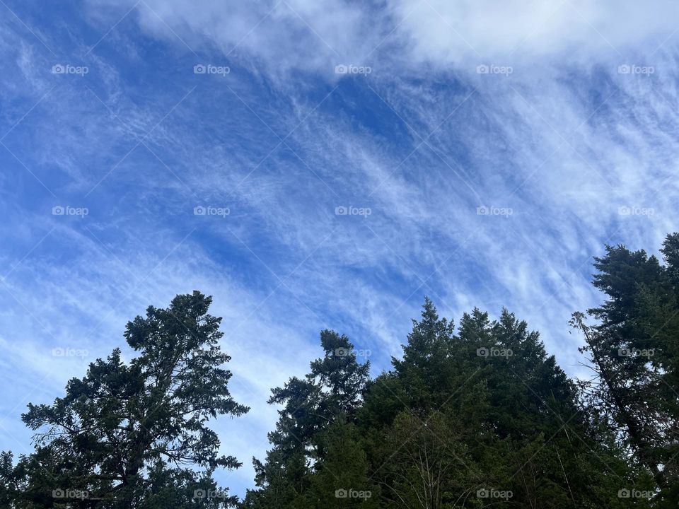 Vancouver island sky