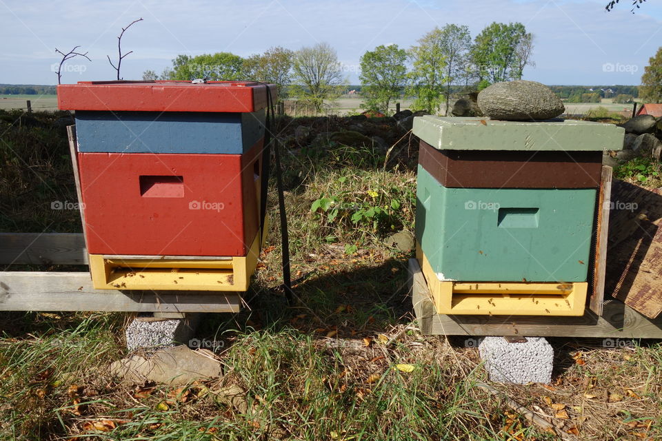 These lovely beehives can be found in a small place called Vargön ( Wolfisland). The need were very active but I managed to get some photos without getting stung.