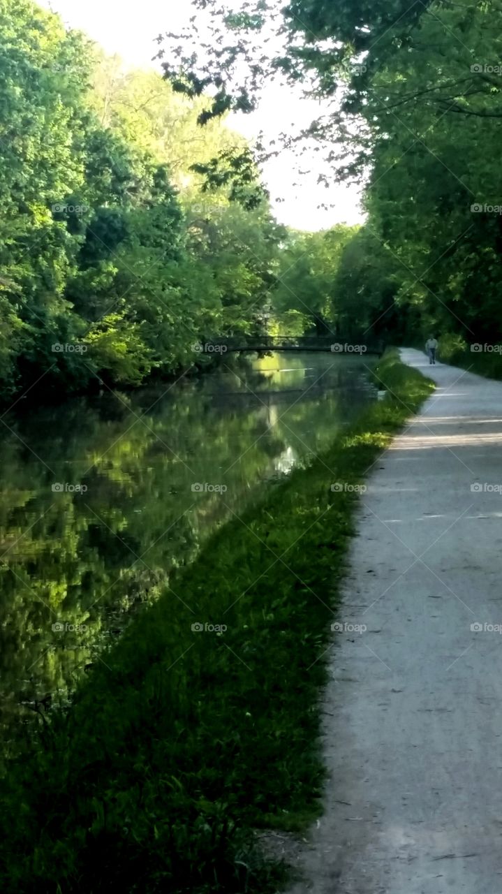 Reflection on the water at Holcomb Gardens, Indianapolis