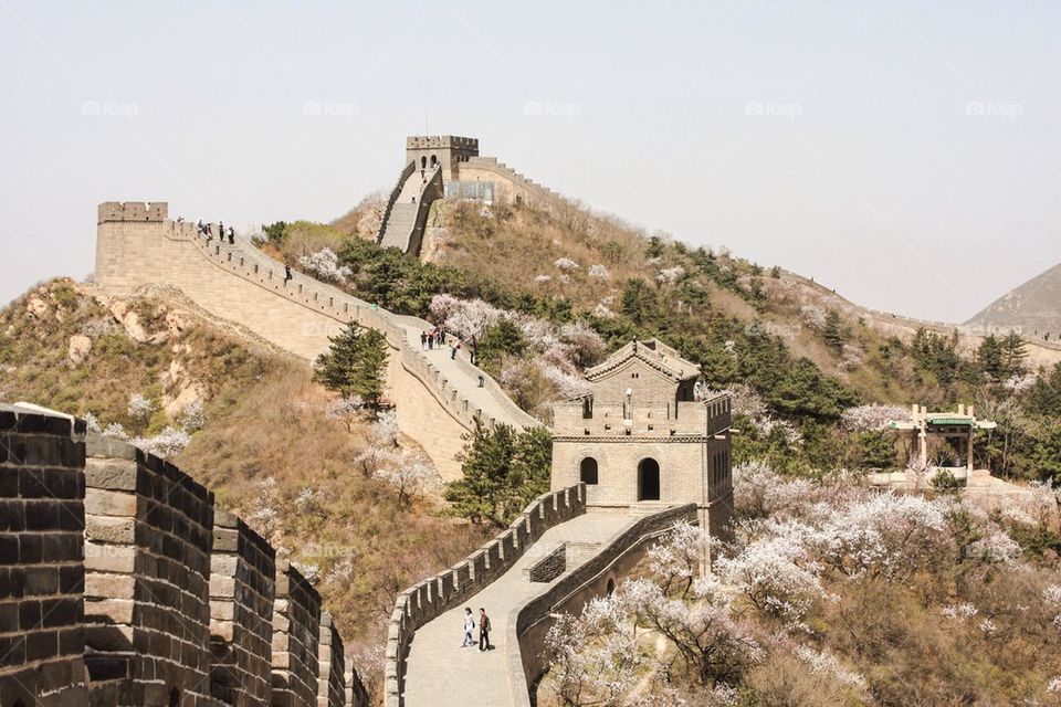 The Chinese wall in spring