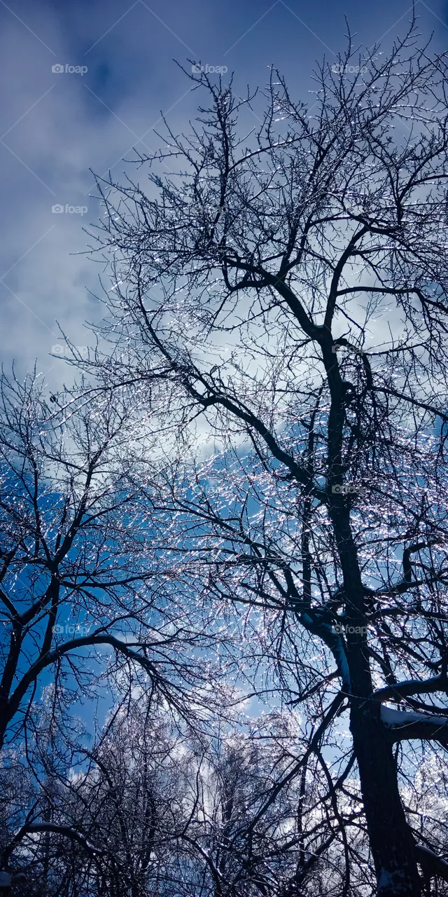 sky blue