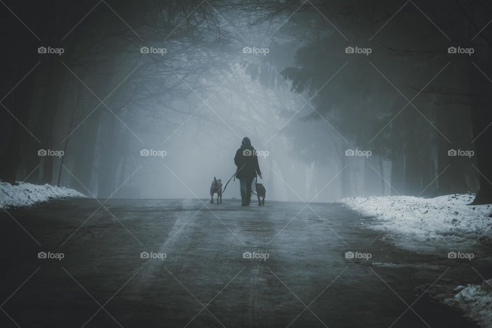 morning walk with pets through the foggy road