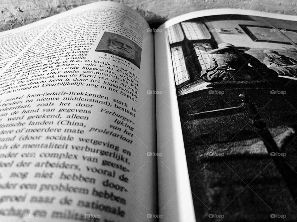 Reading the encyclopedia