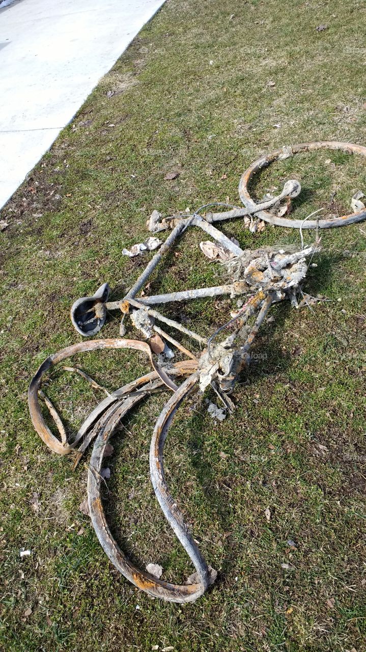 pulled from the Detroit river