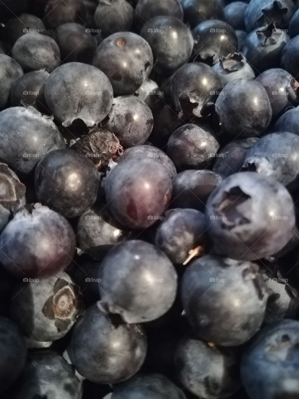 Blueberries