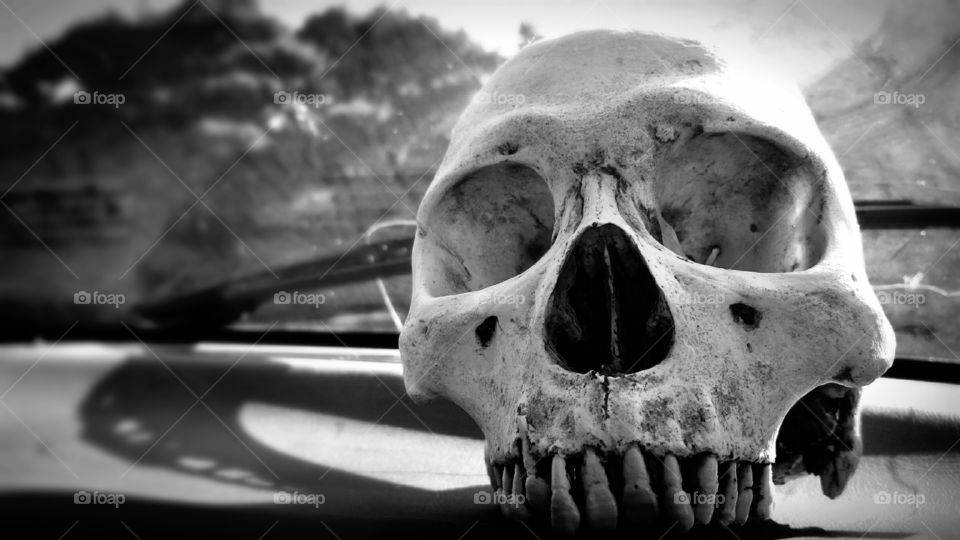 Dark passenger. Human skull on dashboard.