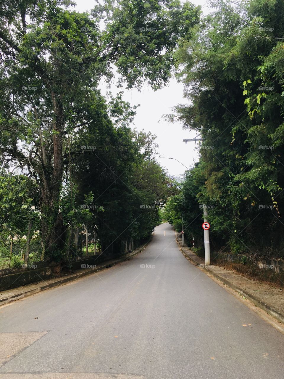 ‪Aqui, o verde do campo prevalece apesar da cidade estar se aproximando.‬
‪A Jundiaí rural e a Jundiaí urbana estão se harmonizando. Ainda bem!‬