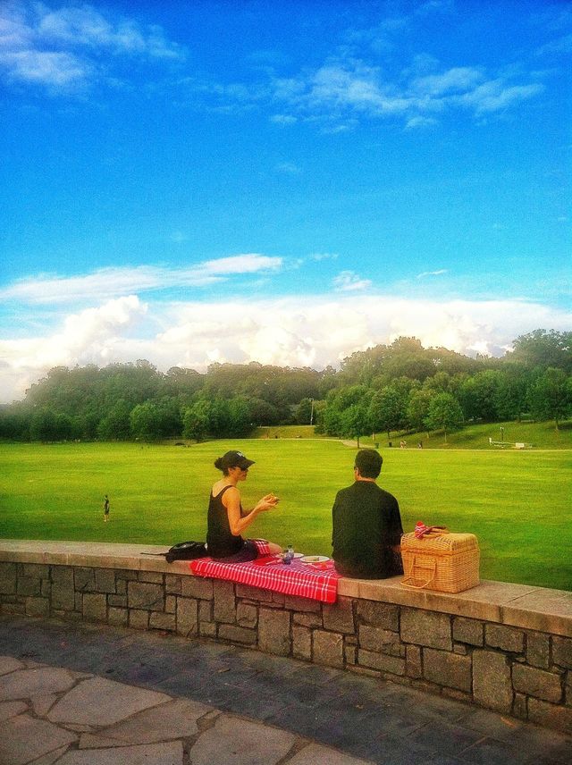 Picnic