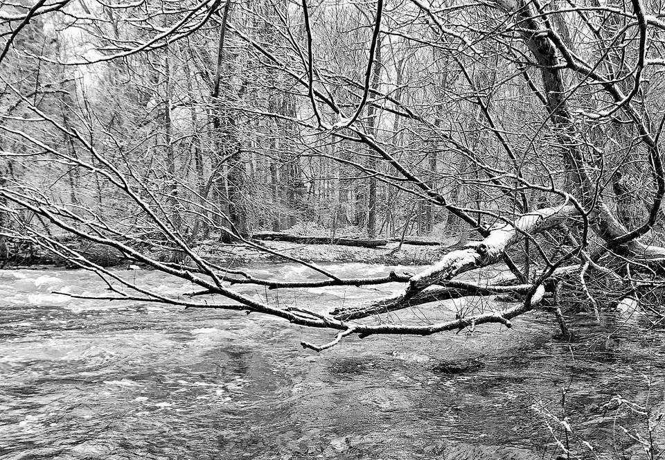 Ellicott Creek in winter