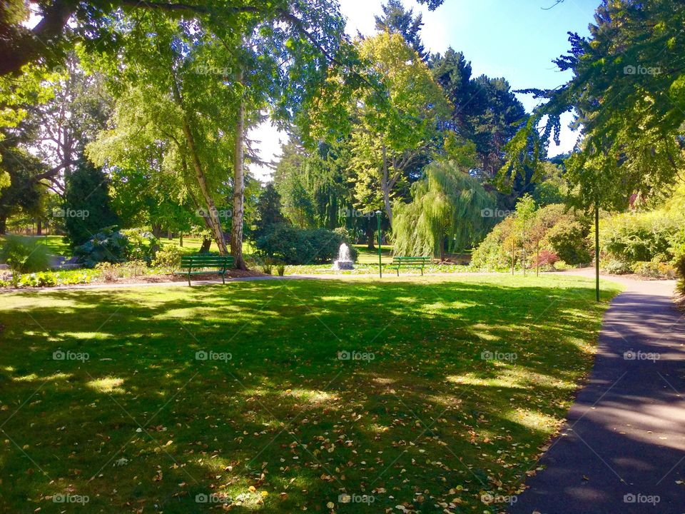 Beacon Hill Park