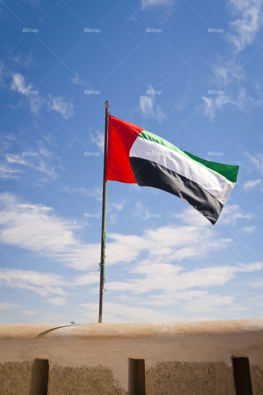 UAE flag