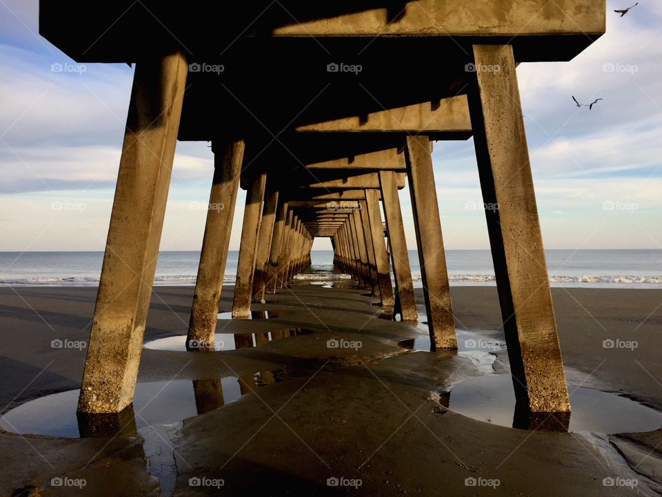 Under the Pier 