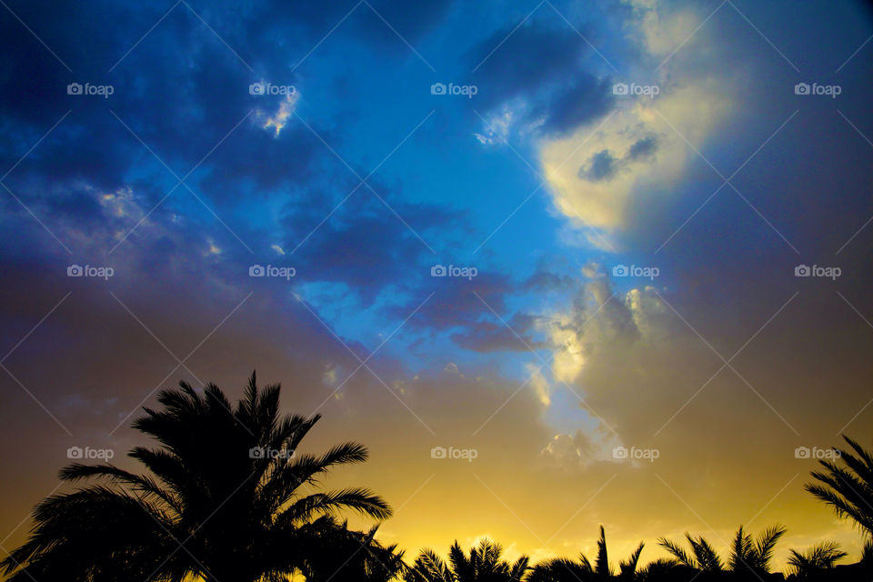 sky sunset palm contrast by mrgrunert