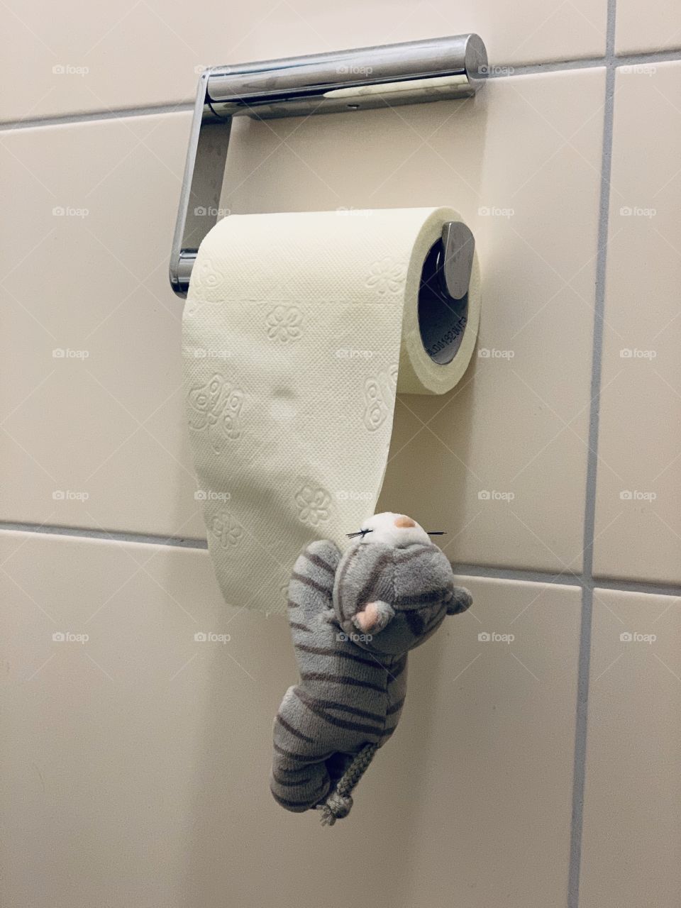 I love toilet paper 🐯