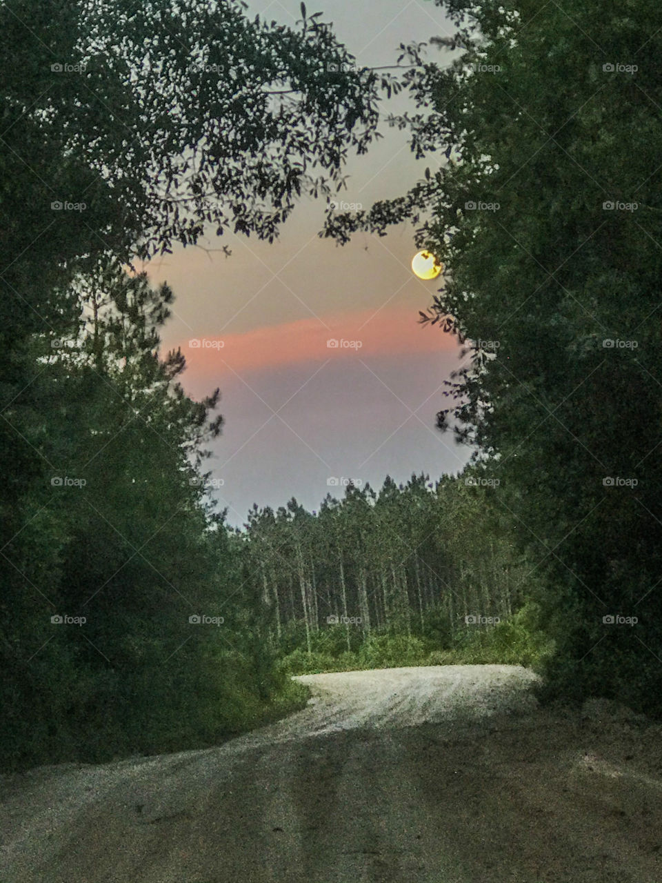 Dirt road sunset