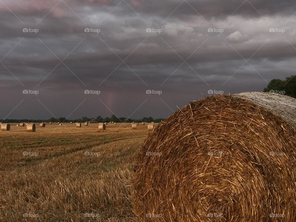 Clouds and agriculture