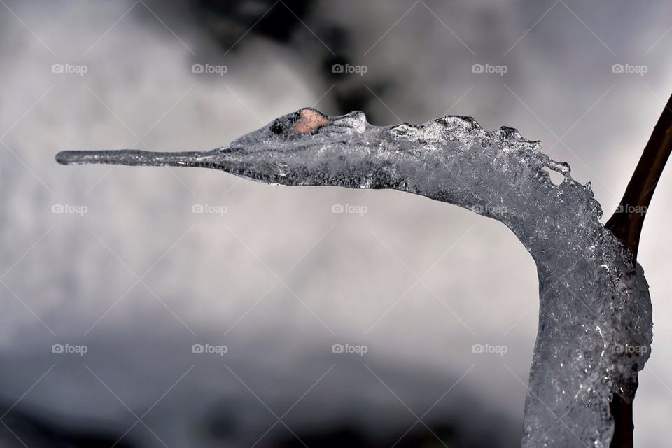 winter ice natur hjärta by cekari