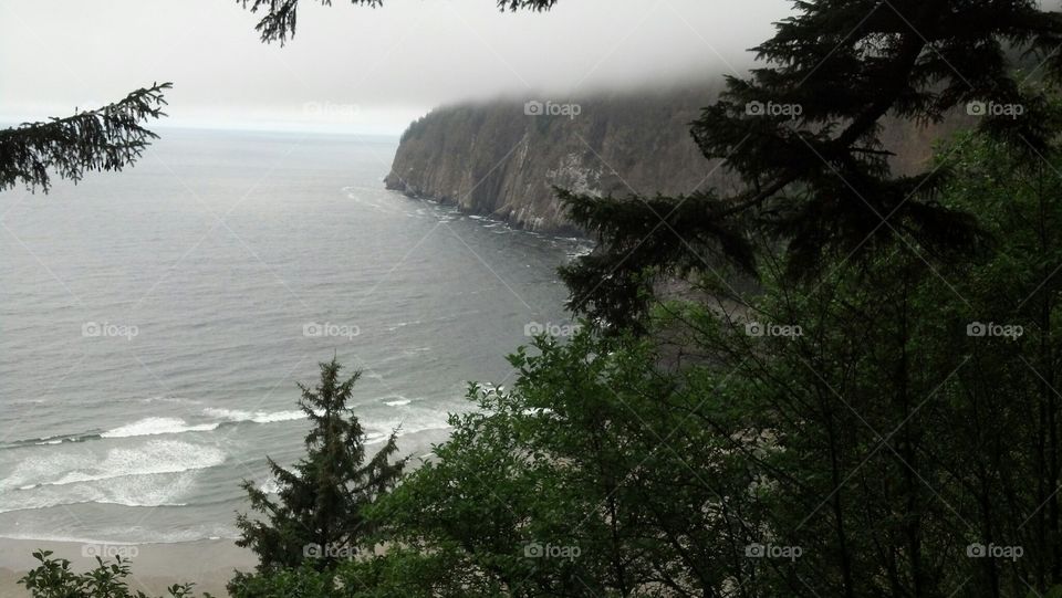Oregon coast