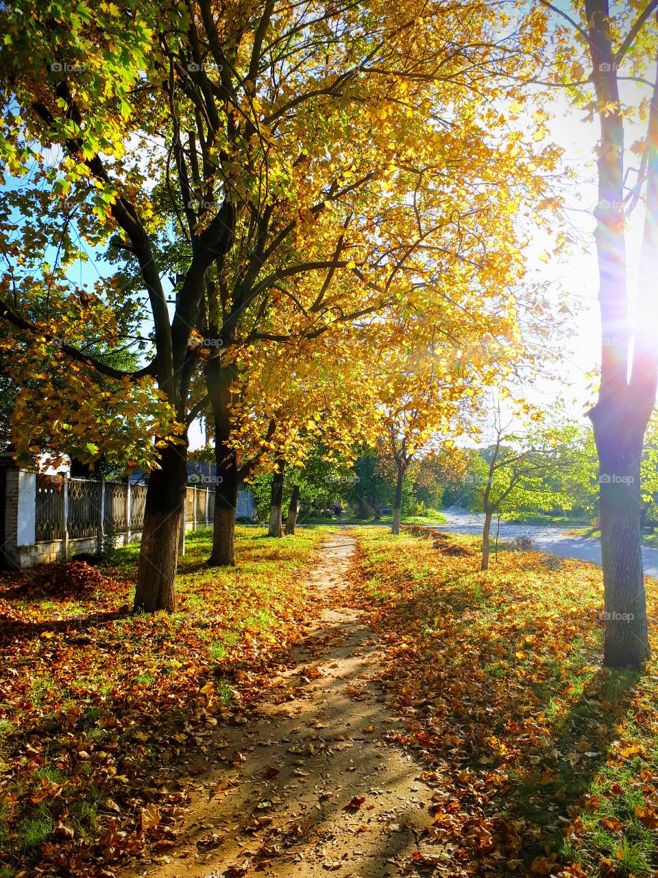 Sunny autumn day